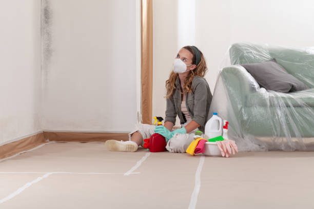 Reliable Black Mold Removal contractor in Arcadia, MI by WQB Mold Removal